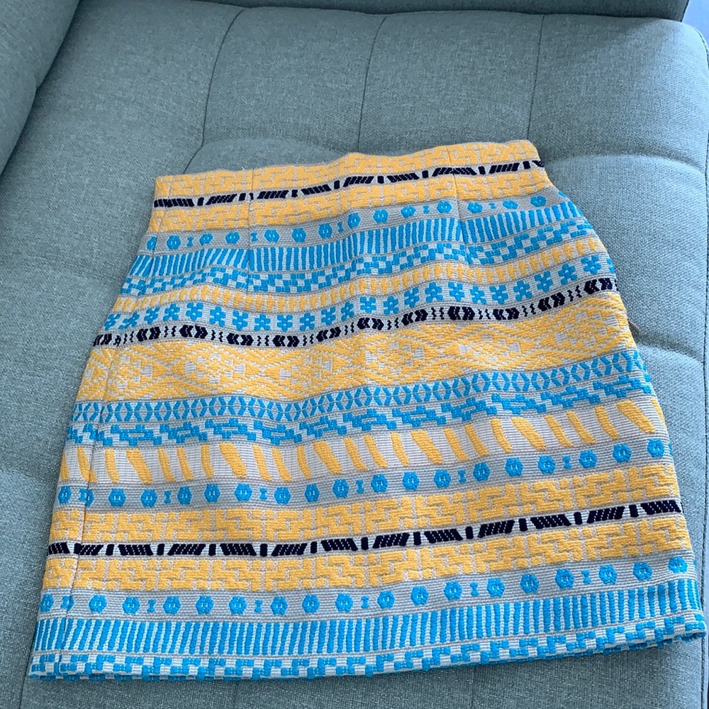 Zara Skirt